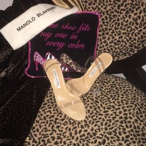 Manolo Blahnik heels!Comes with dust bag, no box.